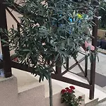 Casa de hóspedes Teba Garden's 3*