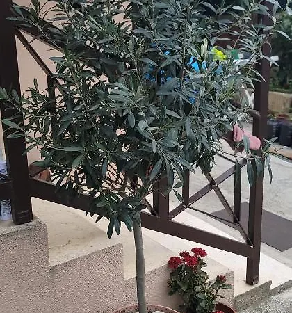 Pensión Teba Garden's *