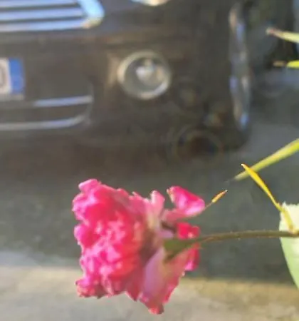 Penzion Teba Garden's 3*