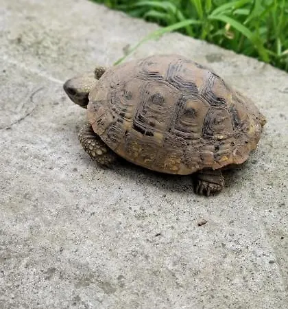 بيت ضيافة Teba Garden's 3*