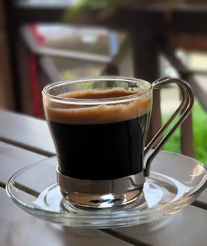 Πανσιόν Teba Garden's 3*