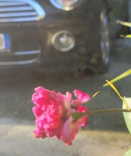 Πανσιόν Teba Garden's 3*